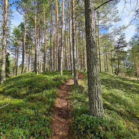 Uusi 4 Hengelle Hiekkasaerkillae *