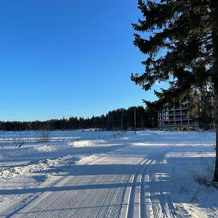 Uusi 4 Hengelle Hiekkasaerkillae