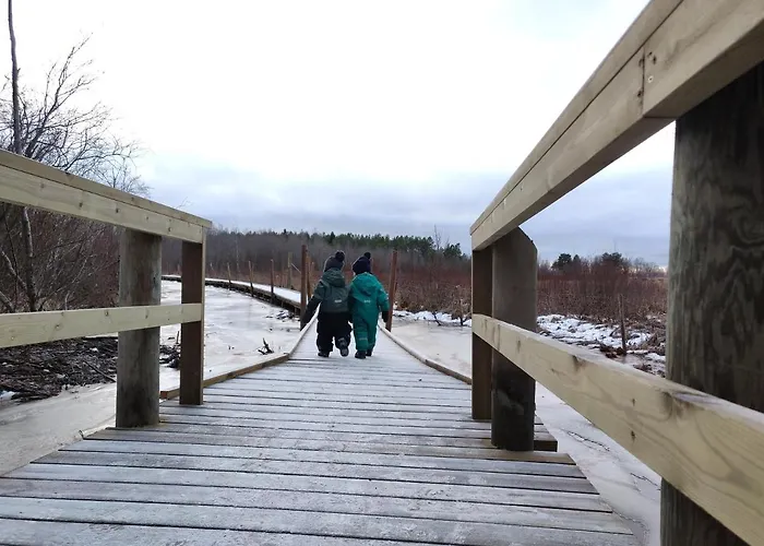 Uusi 4 Hengelle Hiekkasaerkillae * Kalajoki