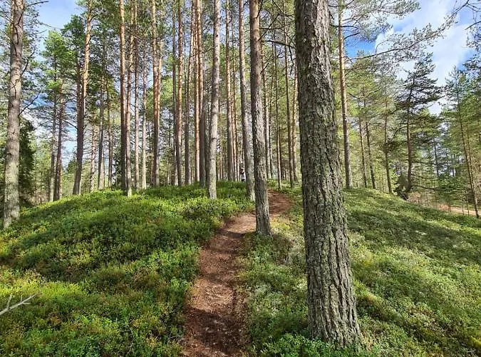 Uusi 4 Hengelle Hiekkasaerkillae *